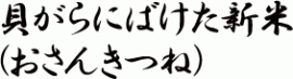 貝がらにばけた新米（おさんきつね）